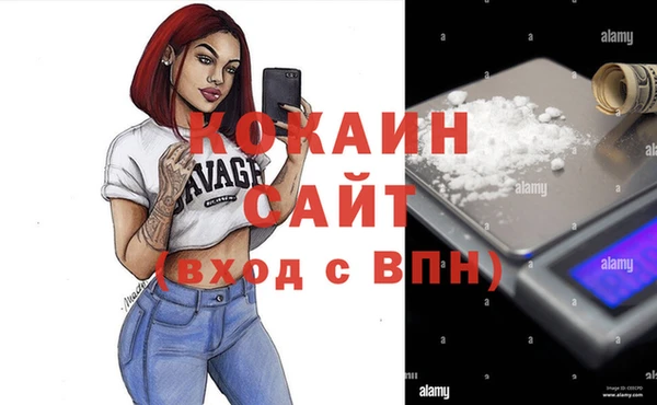 сатива Армянск