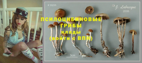 сатива Армянск