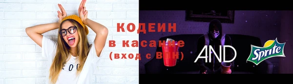 сатива Армянск