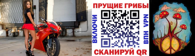 Галлюциногенные грибы Magic Shrooms  даркнет сайт  Семёнов 